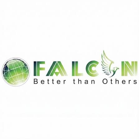 Falcon Link-logo